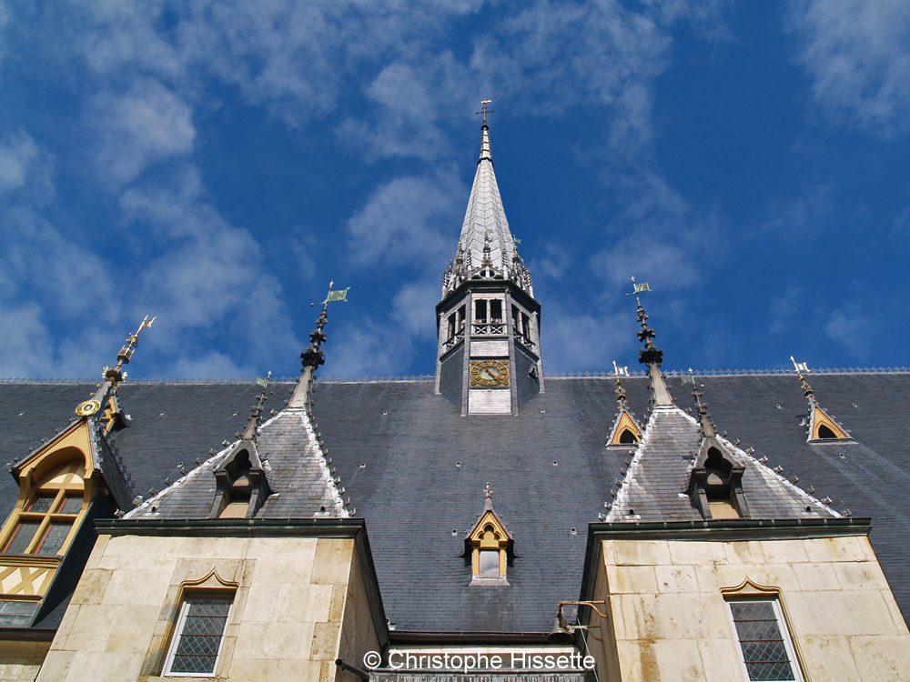 Roof of Room Pôvres, Hospices de Beaune, Hôtel-Dieu, Burgundy, France