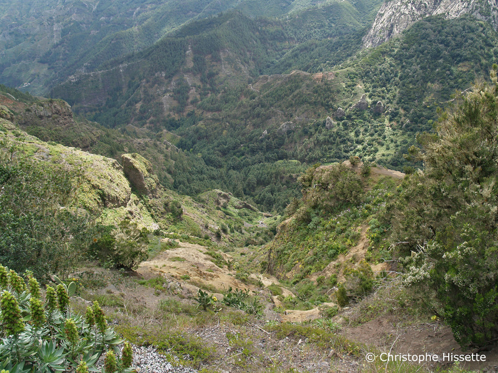 Valley of Monumento natural de los Roques La Gomera