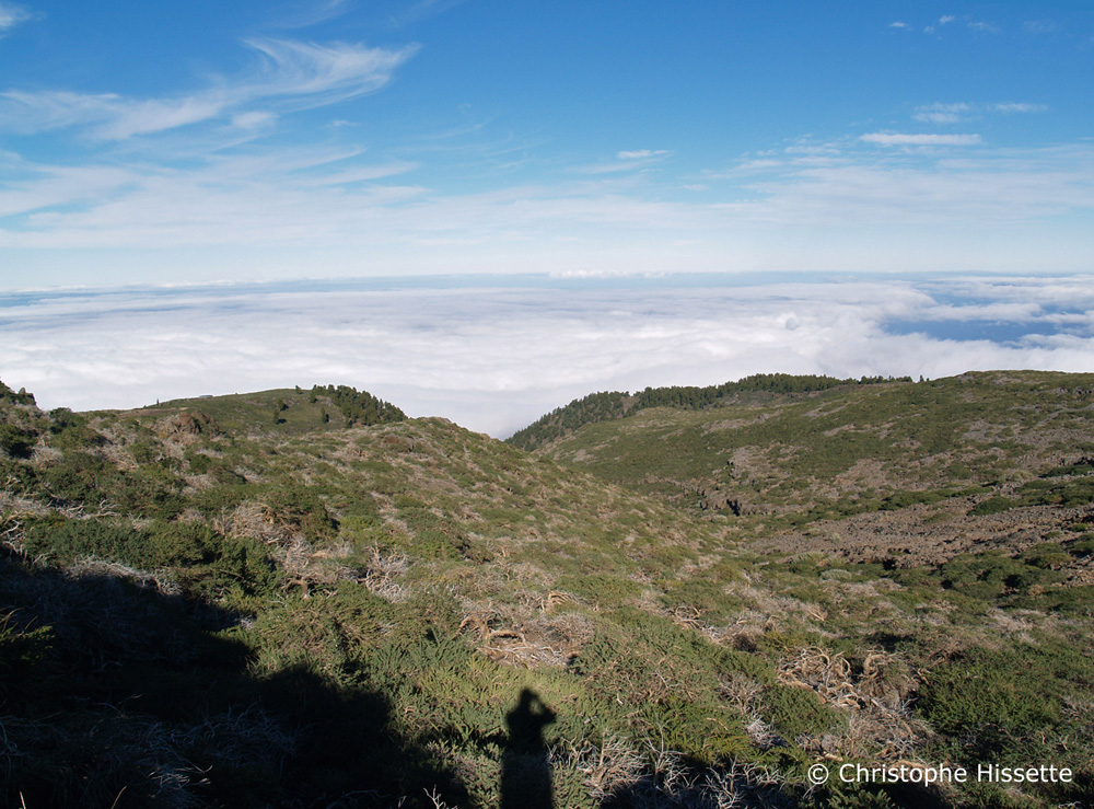 Portfolio La Palma