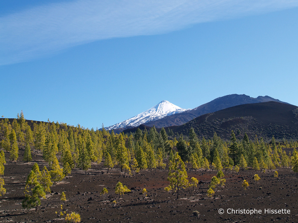 Portfolio Canary Islands